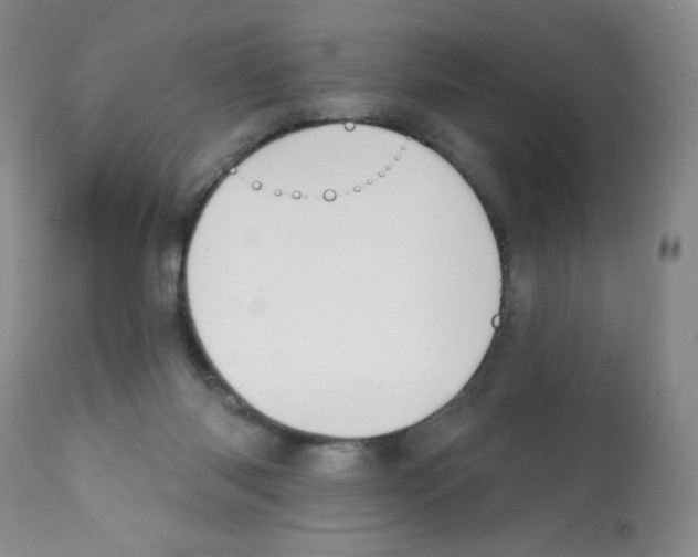 X0000112080118200909151122