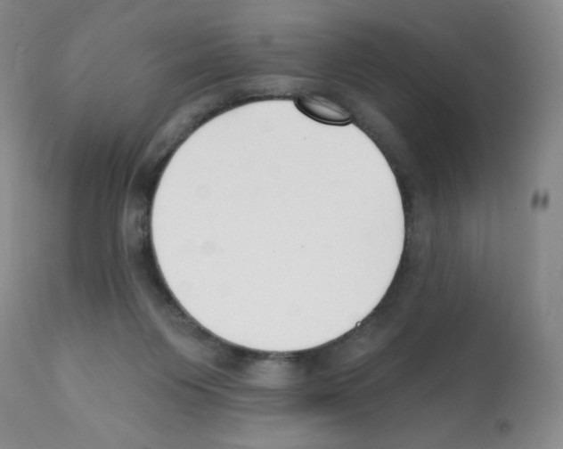 X0000112080119200909151122