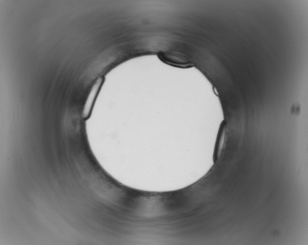 X0000112080120200909151122