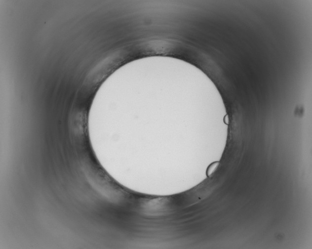 X0000112080122200909151122