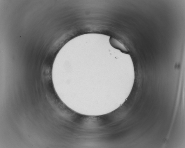 X0000112080123200909151122