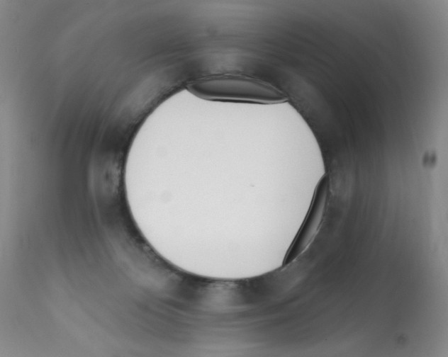 X0000112080124200909151122