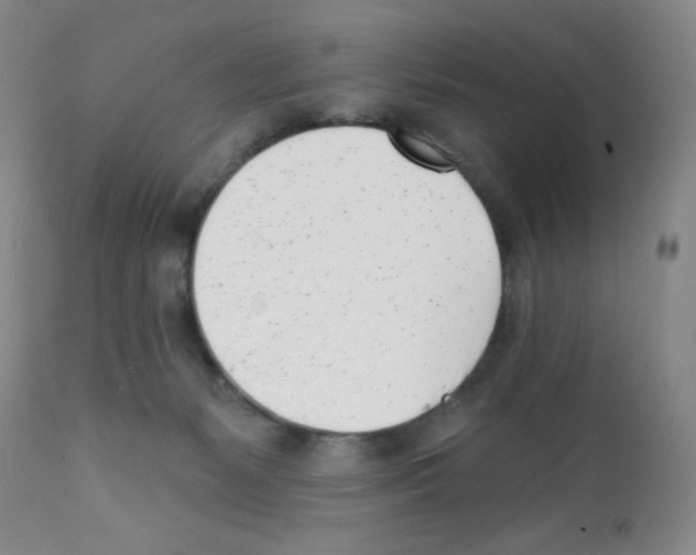 X0000112080127200909151122