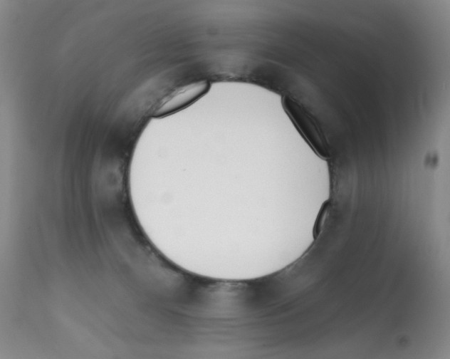X0000112080128200909151122
