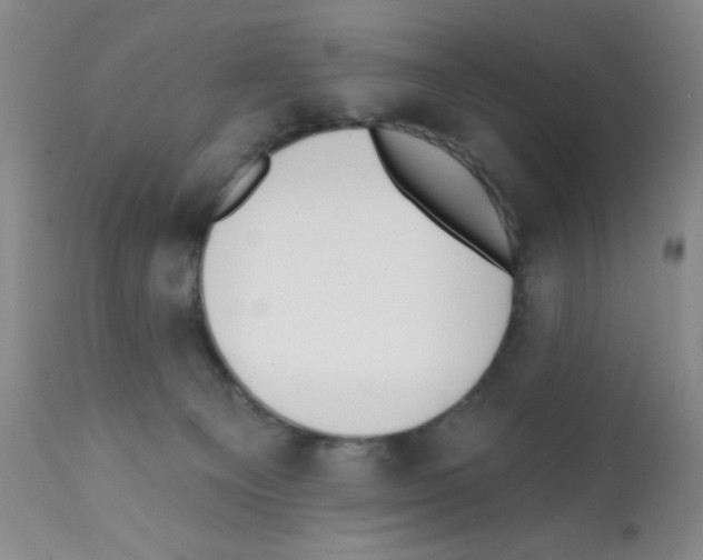 X0000112080129200909151122