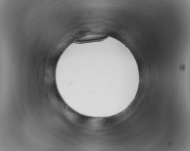 X0000112080136200909151122