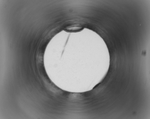 X0000112080137200909151122