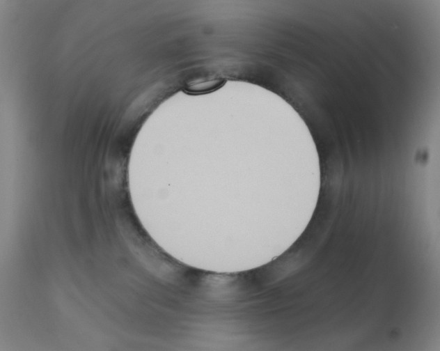 X0000112080139200909151121