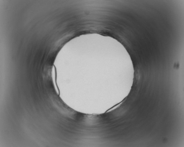 X0000112080141200909151121