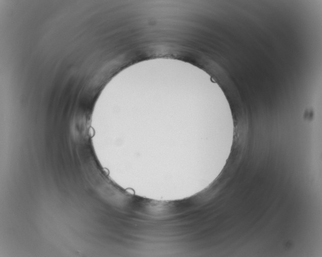 X0000112080142200909151121