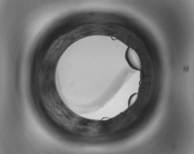 X0000112080143200909151121