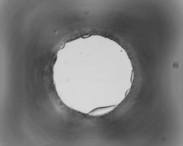 X0000112080144200909151121
