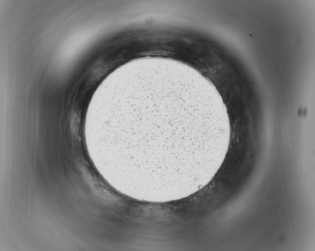 X0000112080146200909151121