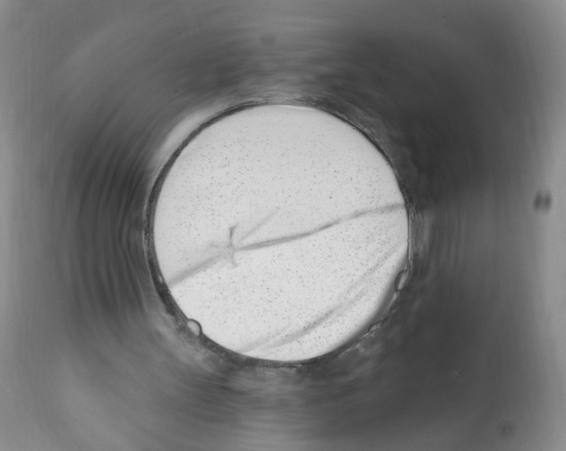 X0000112080147200909151121