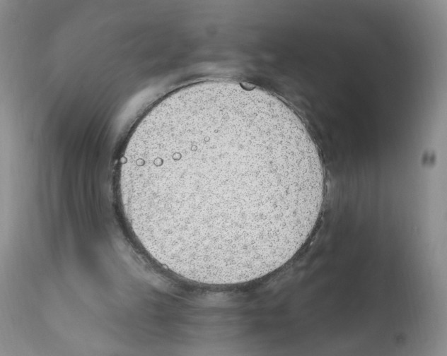 X0000112080149200909151121