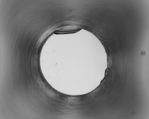X0000112080150200909151121