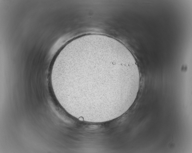 X0000112080151200909151121