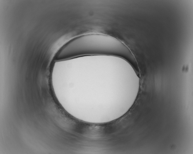 X0000112080152200909151121