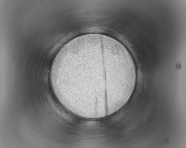 X0000112080153200909151121
