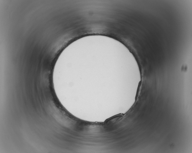 X0000112080154200909151121