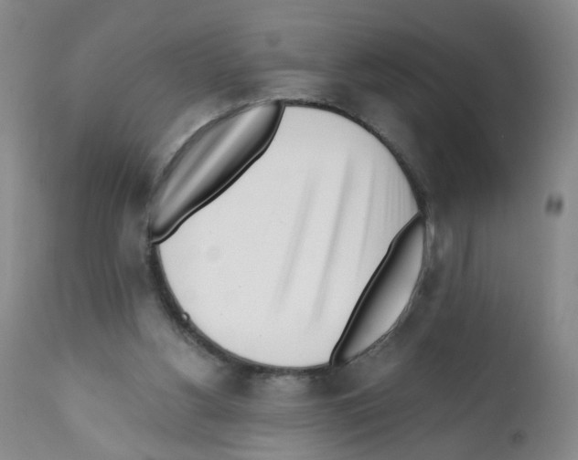 X0000112080156200909151121