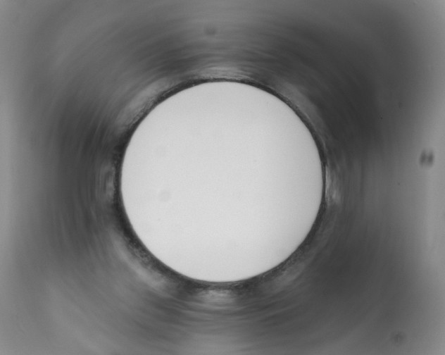 X0000112080157200909151121