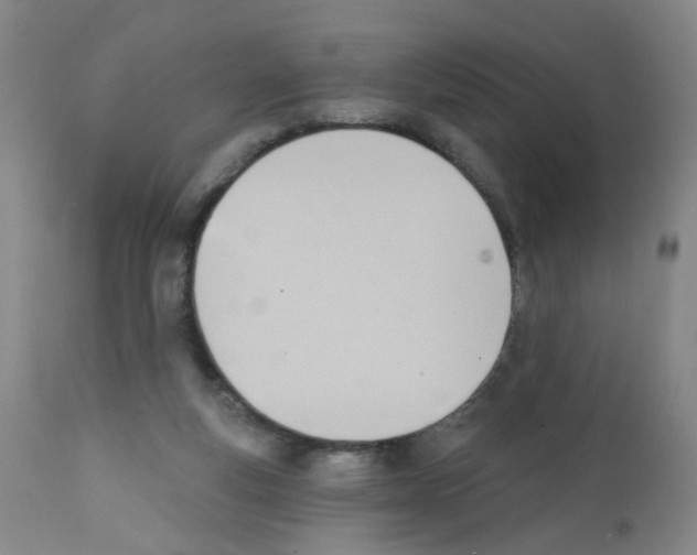 X0000112080163200909151121