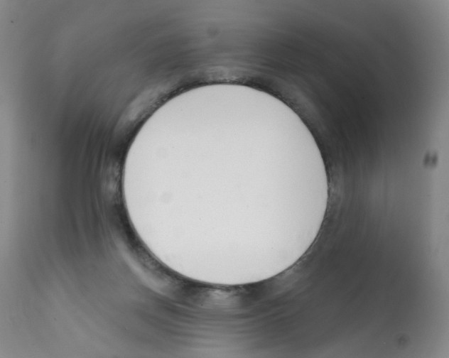 X0000112080166200909151121