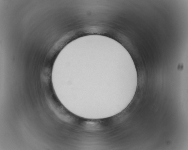 X0000112080167200909151121