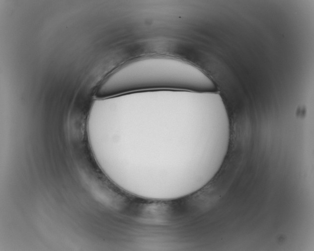 X0000112080168200909151121