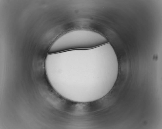 X0000112080172200909151121