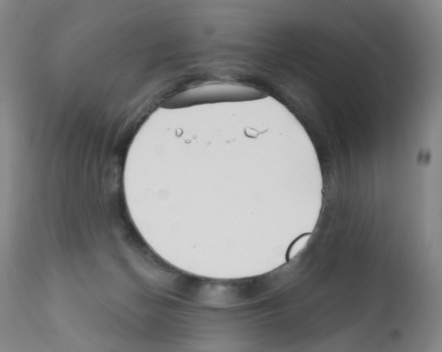 X0000112080174200909151121