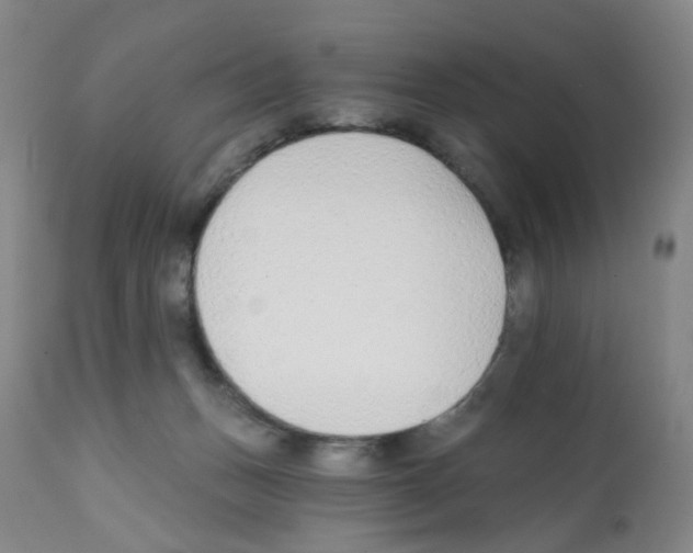 X0000112080175200909151121