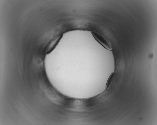 X0000112080176200909151121