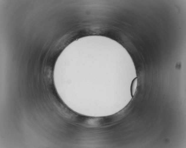 X0000112080178200909151121
