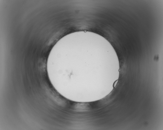 X0000112080179200909151121