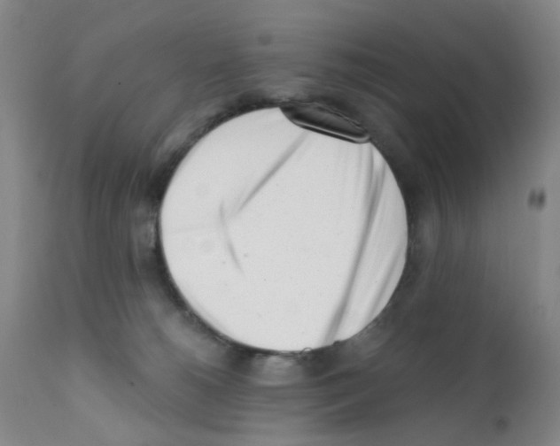 X0000112080180200909151121