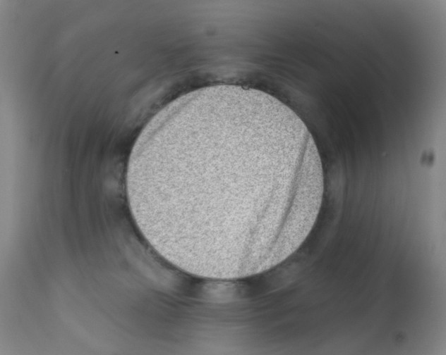 X0000112080181200909151121