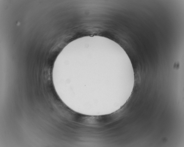 X0000112080182200909151121