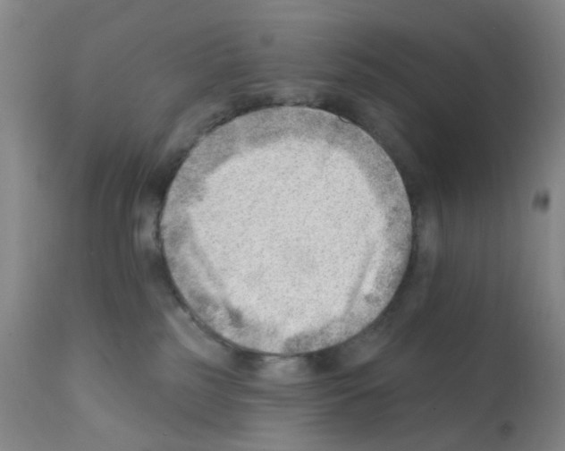 X0000112080185200909151121