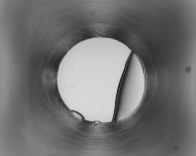 X0000112080186200909151121