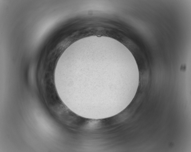 X0000112080189200909151121