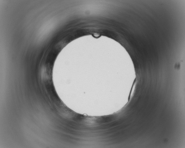 X0000112080190200909151121