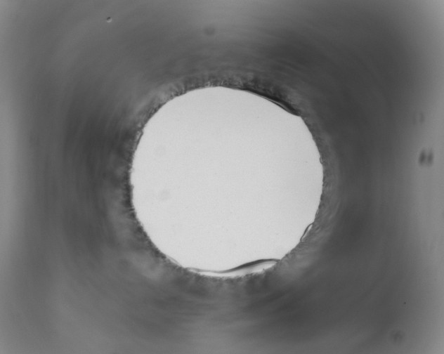 X0000112080192200909151121