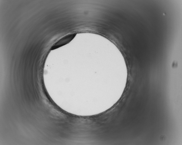 X0000112080193200909151121