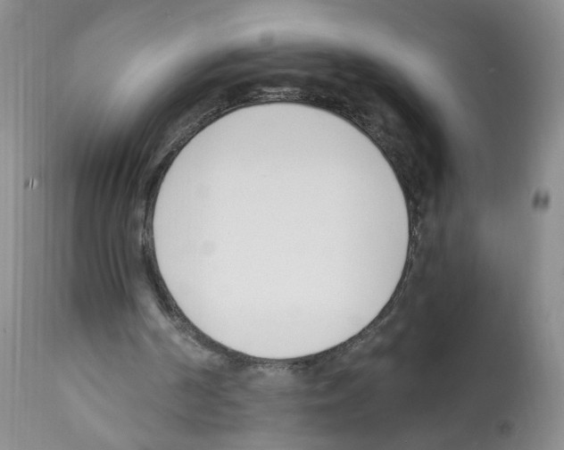X0000112080194200909151121