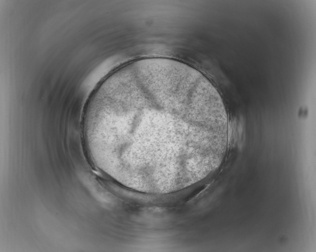 X0000112080195200909151121