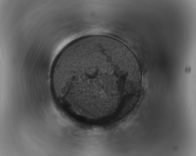 X0000112080196200909151121
