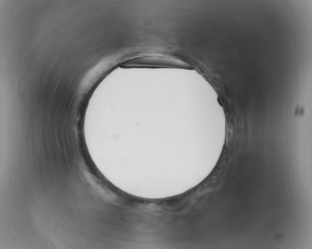 X0000112080197200909151121