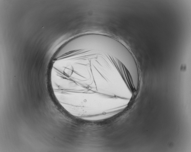 X0000112080199200909151121